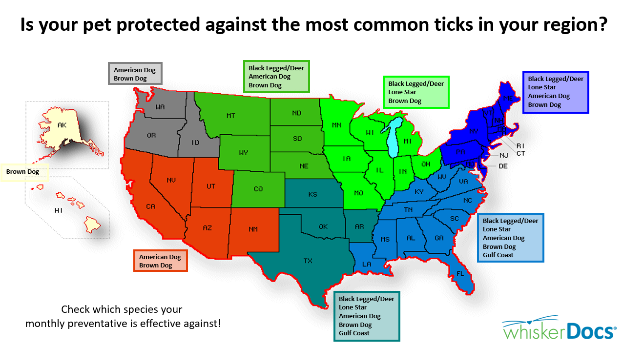 Flea And Tick Season Map 2022 World Map