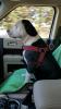 Pet Travel Companion